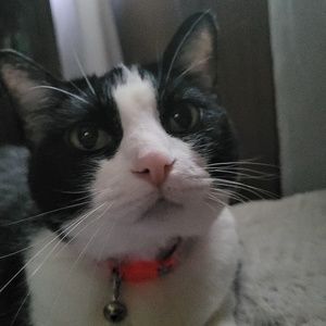 Meet your Posher, Rita